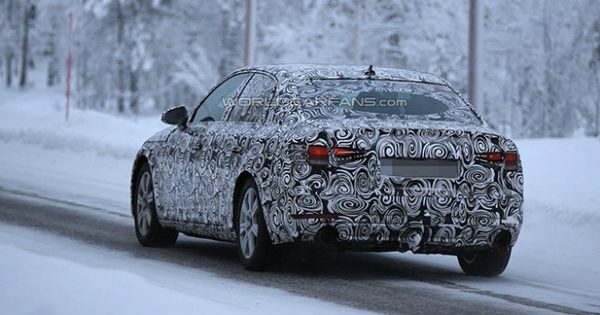 Audi A4 2015 spyshot arrière
